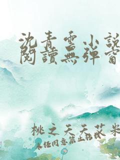 沈青云小说免费阅读无弹窗