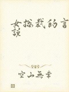 女总裁的言情小说