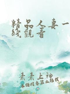 精品人妻一区在线观看