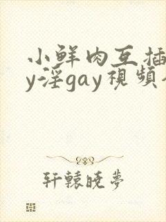 小鲜肉互插gay淫gay视频全集 小鲜肉互插gay淫gay视频全集