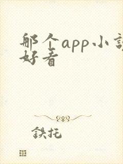 那个app小说好看 那个app小说好看