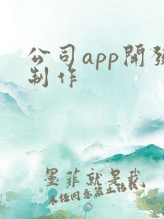 公司app开发制作