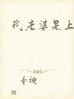 我老婆是上司