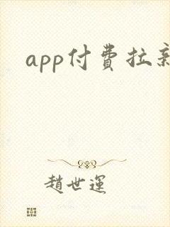 app付费拉新