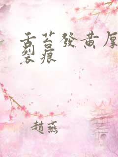 舌苔发黄厚腻有裂痕