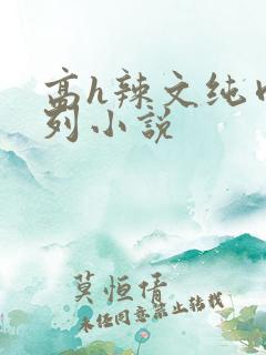 高h辣文纯肉系列小说