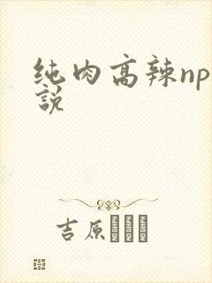 纯肉高辣np小说