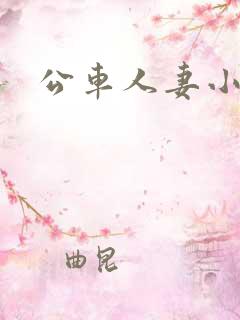 公车人妻小说
