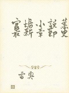 官场小说叶明昊最新章节更新 官场小说叶明昊最新章节更新