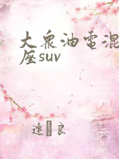 大众油电混动七座suv
