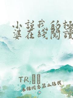 小说我的极品老婆在线阅读 小说我的极品老婆在线阅读