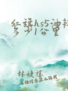 红旗hs5油耗多少1公里