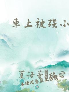 车上被强小说