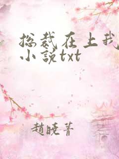 总裁在上我在下小说txt