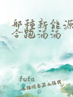 哪种新能源车适合跑滴滴 哪种新能源车适合跑滴滴