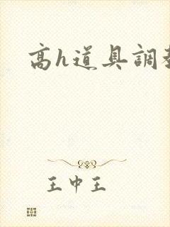 高h道具调教文