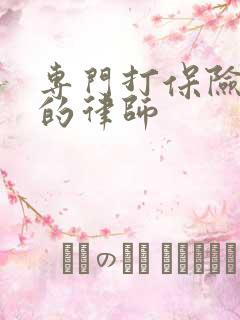 专门打保险官司的律师