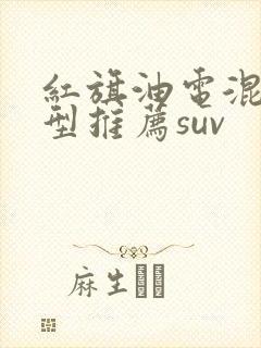 红旗油电混合车型推荐suv