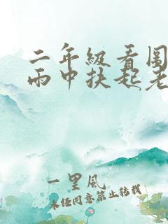 二年级看图写话雨中扶起老奶奶