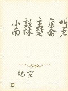 小说主角叫李向南林楚乔免费阅读