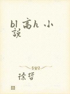 bl 高h 小说