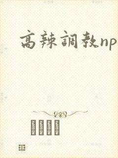 高辣调教np