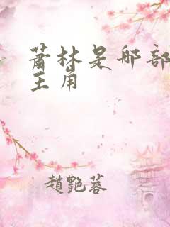 萧林是哪部小说主角