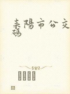耒阳市公交乘车码
