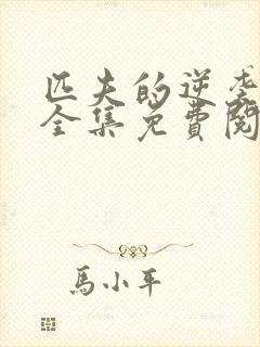 匹夫的逆袭小说全集免费阅读 匹夫的逆袭小说全集免费阅读