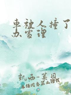 车被人撞了怎么办处理