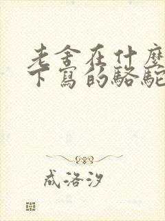 老舍在什么情况下写的骆驼祥子