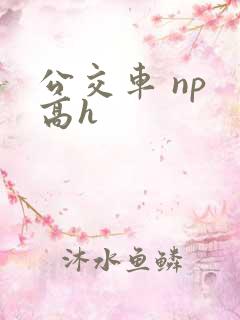公交车 np 高h