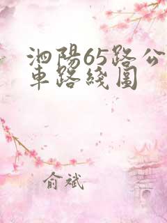 泗阳65路公交车路线图
