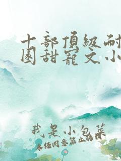 十部顶级耐看校园甜宠文小说
