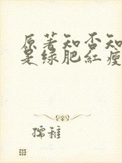 原著知否知否应是绿肥红瘦小说