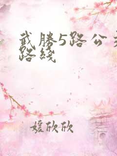 武胜5路公交车路线