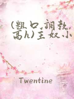 (粗口,调教,高h)主奴小说