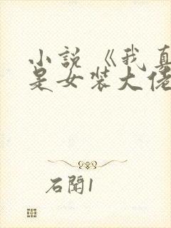 小说 《我真不是女装大佬》