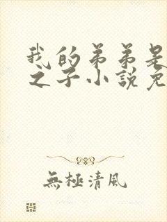 我的弟弟是天选之子小说免费阅读无弹窗
