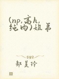 (np,高h,纯肉)姐弟