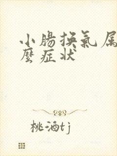 小肠换气属于什么症状