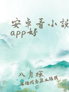 安卓看小说哪个app好 安卓看小说哪个app好