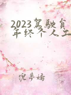2023驾驶员年终个人工作总结