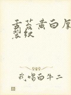 舌苔黄白厚腻有裂纹