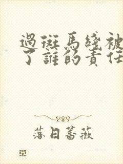 过斑马线被车撞了谁的责任