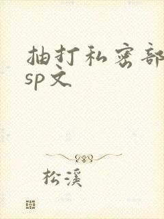 抽打私密部调教sp文