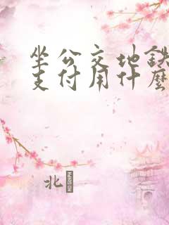 坐公交地铁手机支付用什么app