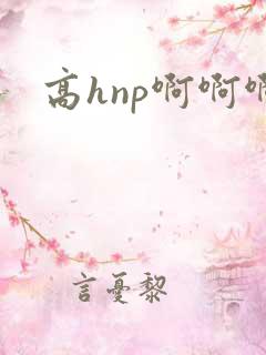 高hnp啊啊啊