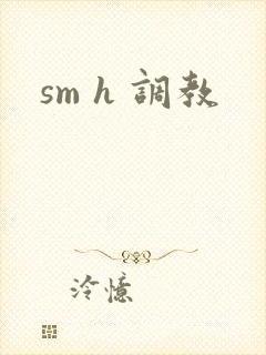 sm h 调教
