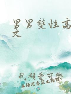 男男双性高h车文